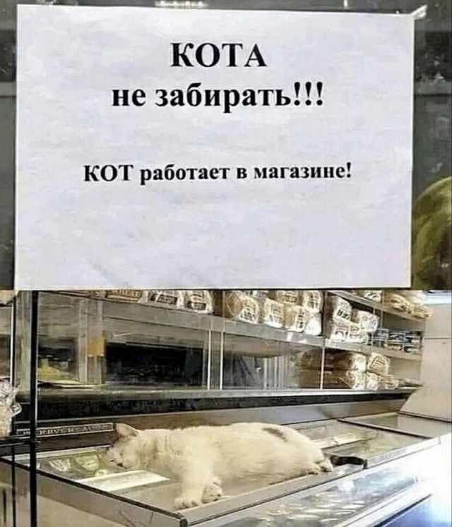 Веселые картинки в понедельник (01.06)