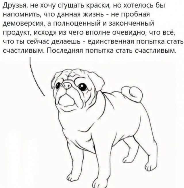 Картинки для деградации 245 (разной степени свежести)