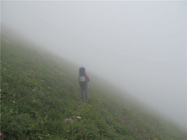 В горах. Абхазия.