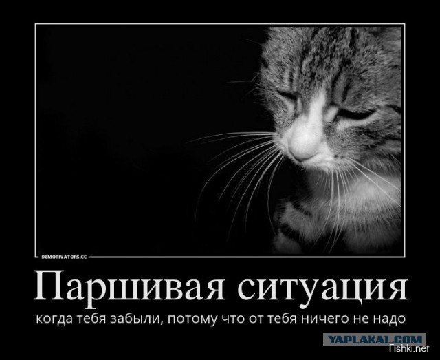 Вот так
