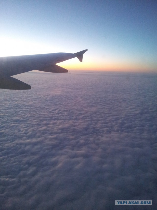 27 причин взять место у окна