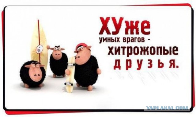 СОРОС беспределит