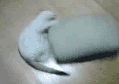 Позитивные картинки