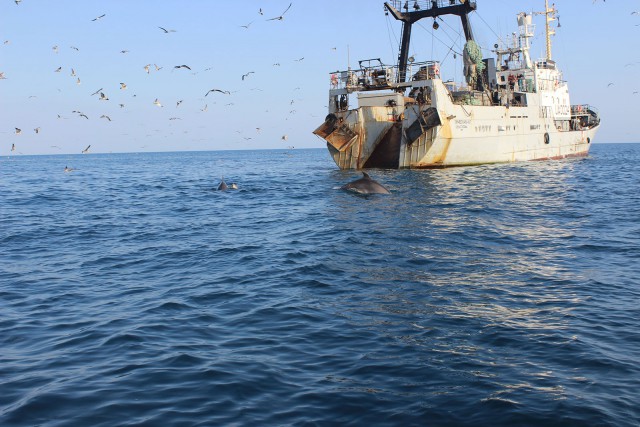 Отчёт о поездке в Крым 12.07 - 29.07