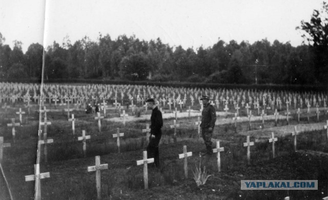 Марш пленных в Донецке 24.08.2014