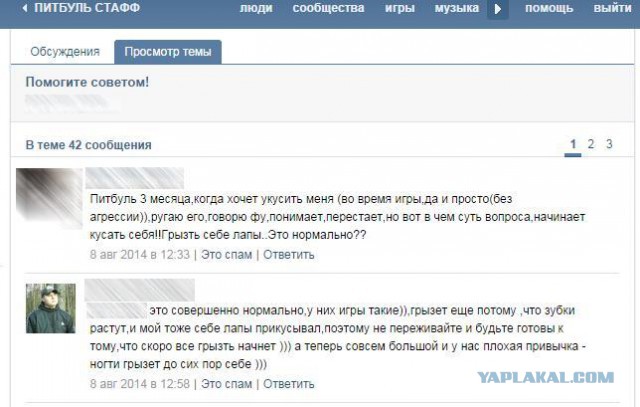Драка в магазине "Подружка"