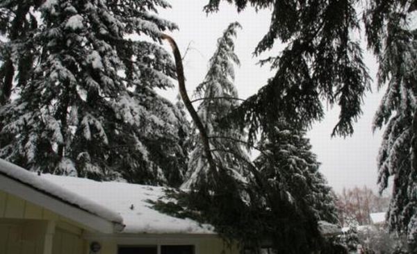 Родился не в рубашке, а в бронежилете