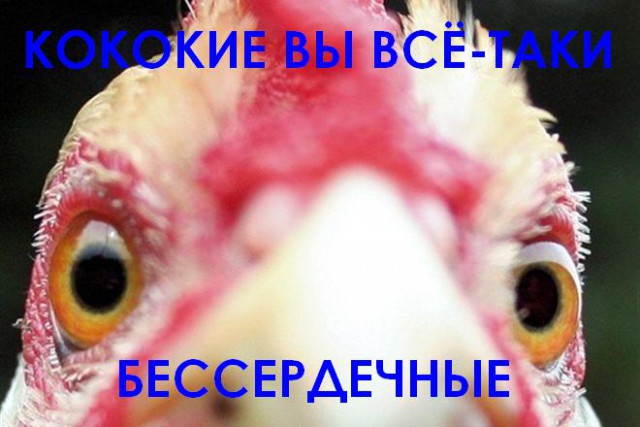 Самые вкусные яичницы в мире.