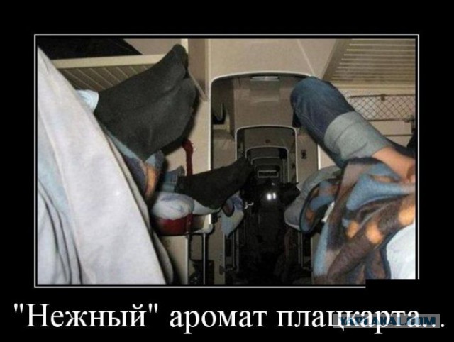 Подборка веселостей из сети
