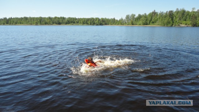 Вуокса 2015