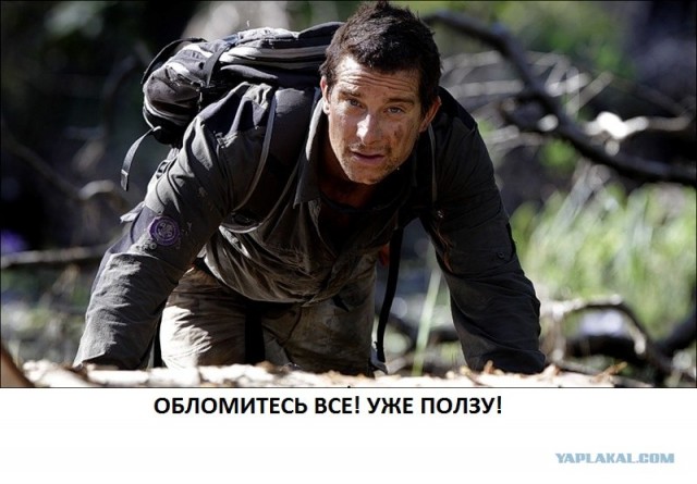 Работа мечты