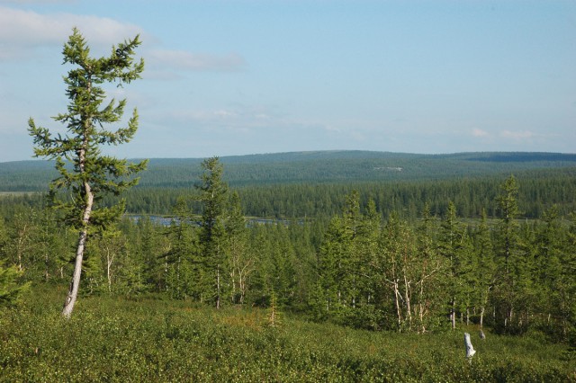 Деревенская Америка