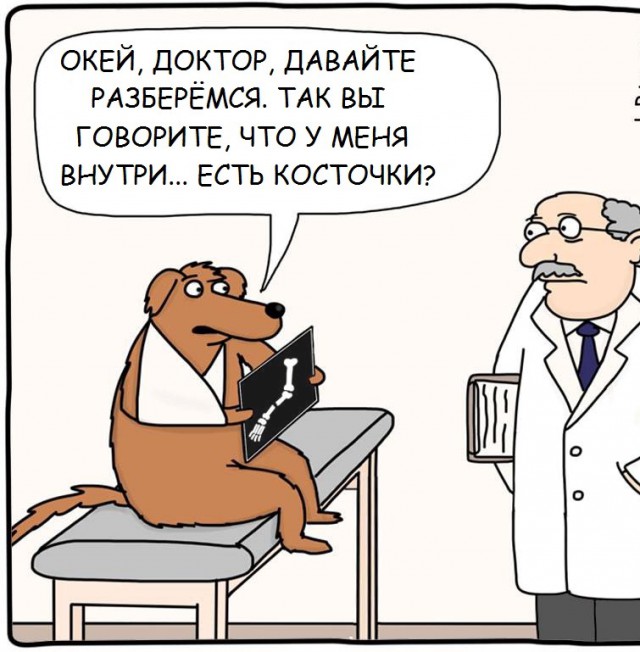 Смешные картинки