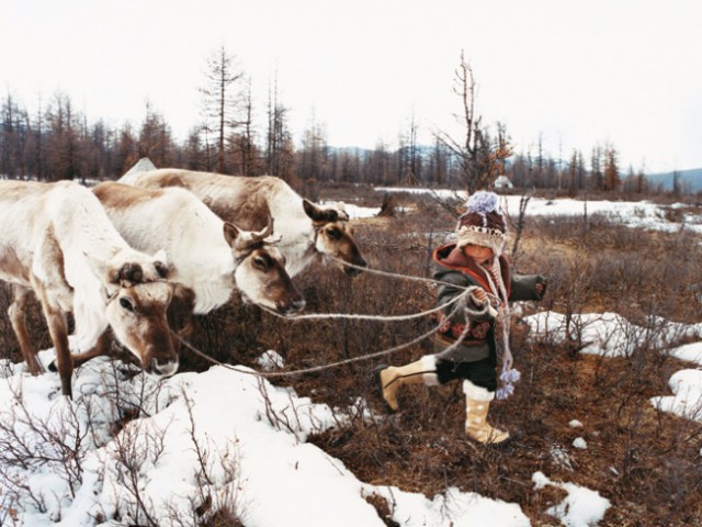 Народы, которые могут исчезнуть с лица России