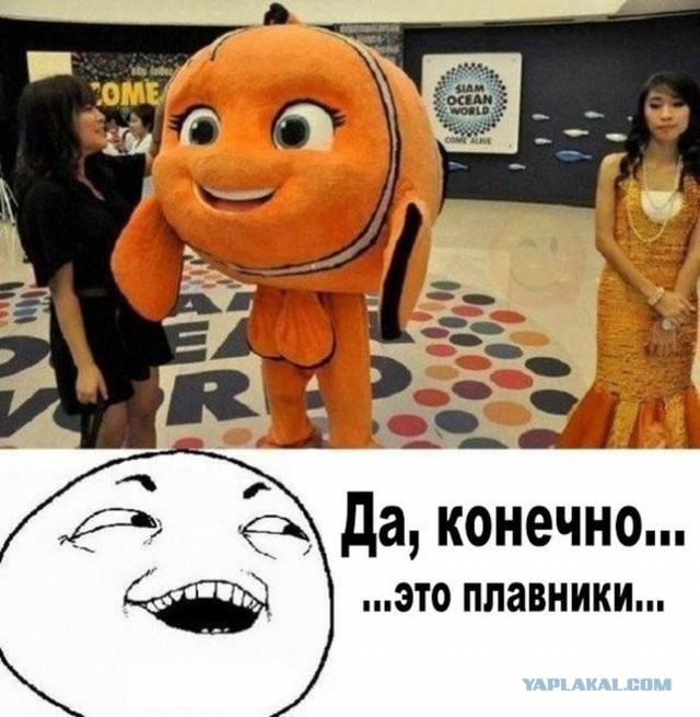 Смешные картинки с надписями