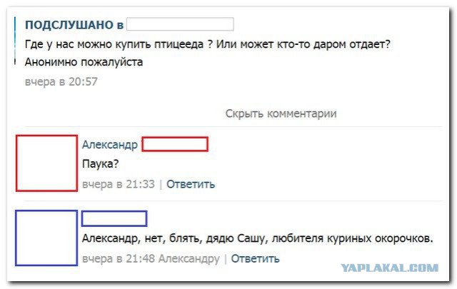 Смешные комментарии из социальных сетей