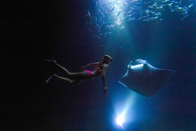 Бесстрашная девушка плавает с огромными скатами