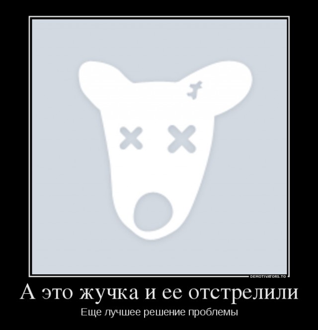 Верховный суд вынес смертный приговор всем бездомным животным России