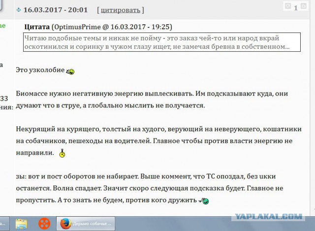 Бодаться или забить?