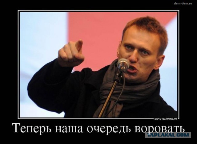 Мизулина назвала «опасной тенденцией» появление антикоррупционных уроков