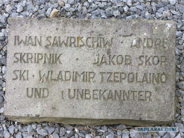 Бессмертный полк
