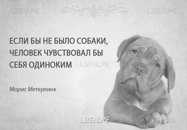 Пёс