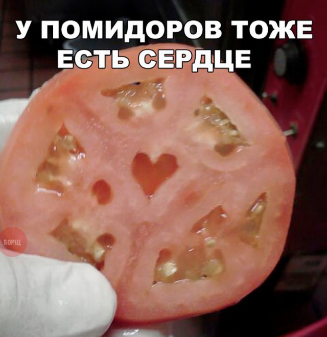 Всякая всячина