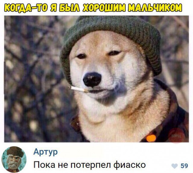 Всякая всячина