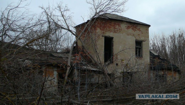 20 век в цвете. Расцвет Застоя или какой была наша страна 40 лет назад