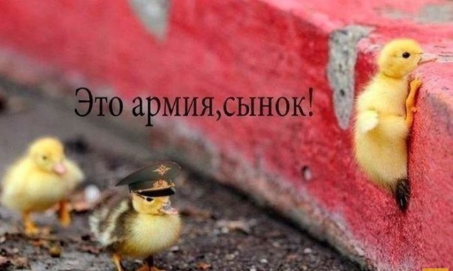 Просто юмор 20