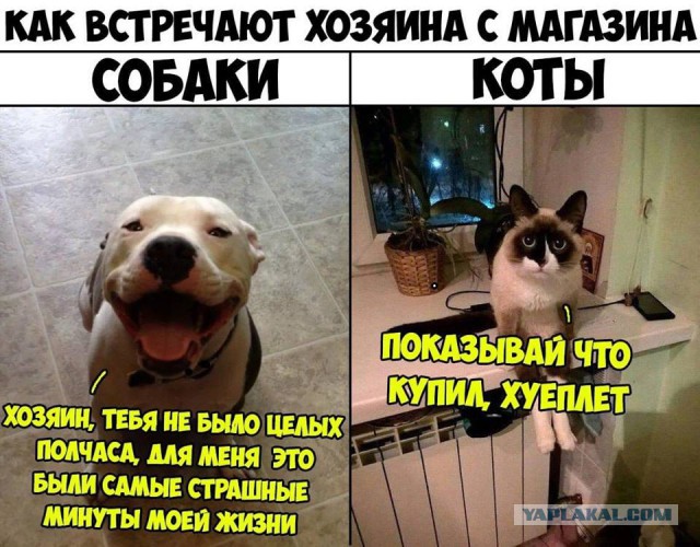 Немного картинок в эту среду