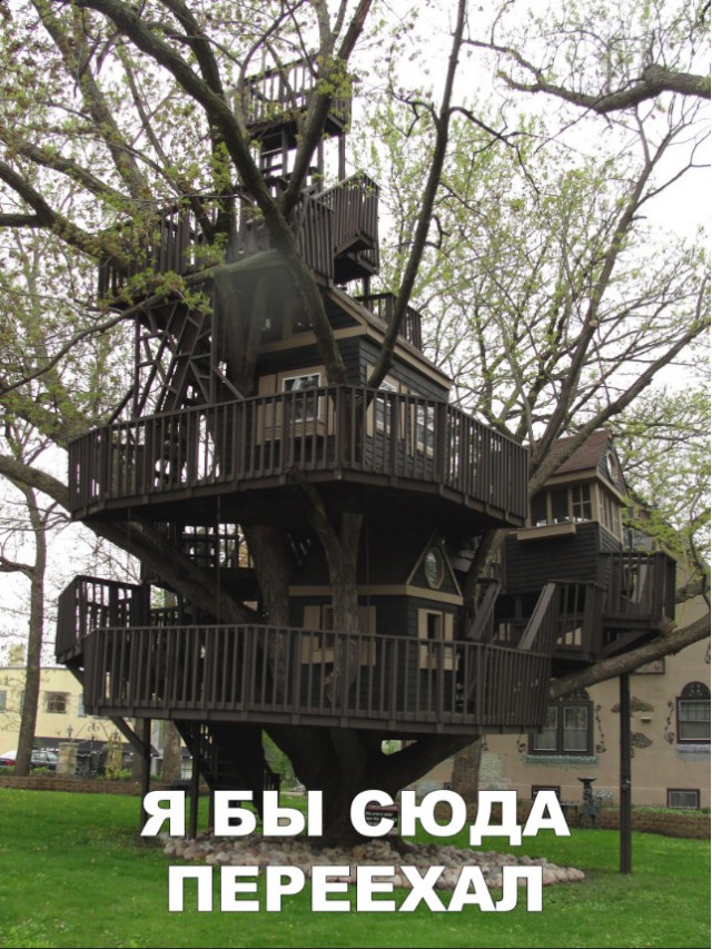 Нестандартный юмор