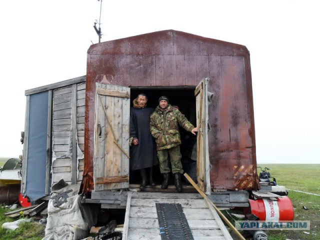 Полуостров Ямал - олений край и ненцы