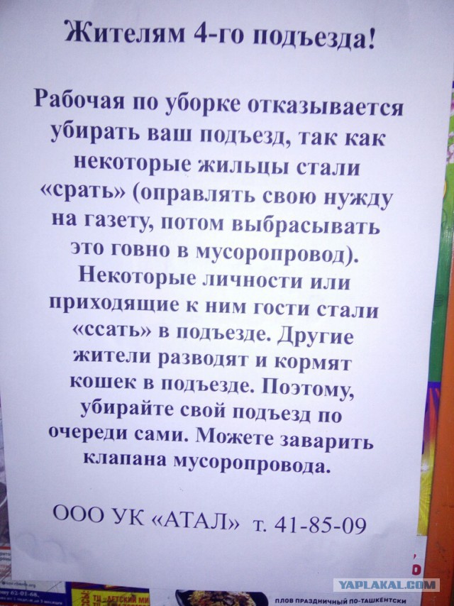 Анекдоты, соц-сети и картинки с надписями