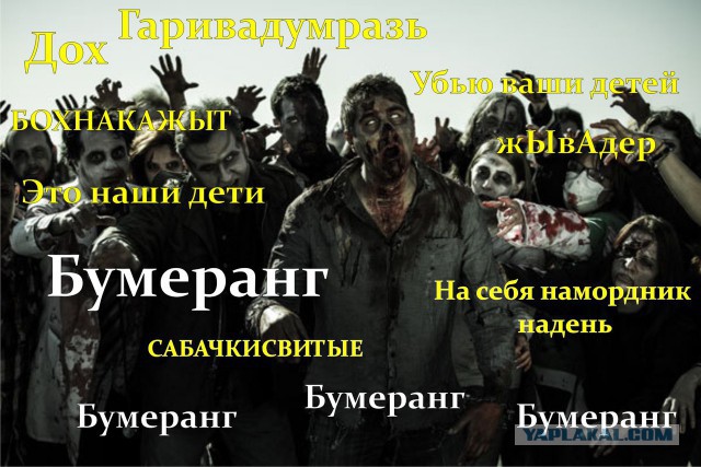 Привязал собак к машине: в Самаре разразился скандал из-за смерти двух псов