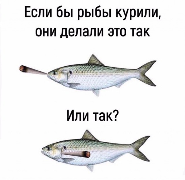 Немного картинок для настроения