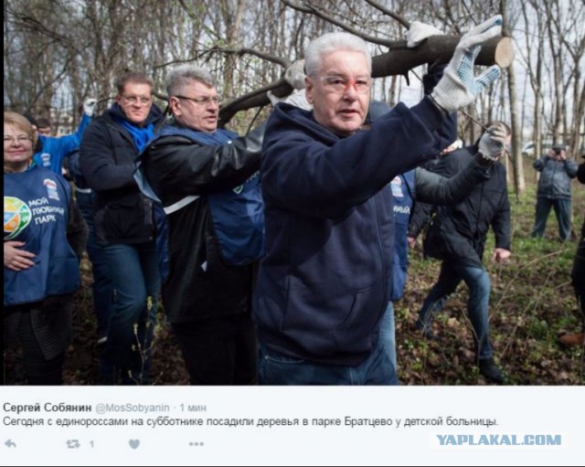 Сергей Зверев приехал на озеро Байкал и принялся убирать мусор
