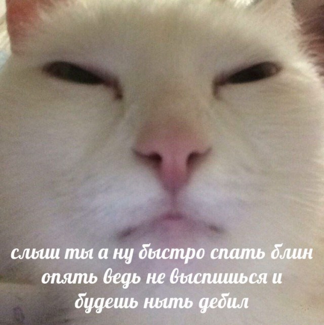 Картинки на воскресный день