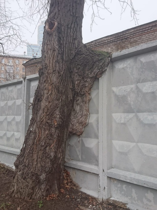 20+ фотографий, которые не найдешь даже в самой полной энциклопедии