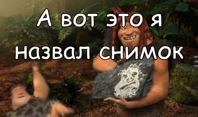 Бредзона картинок 20.11.2019