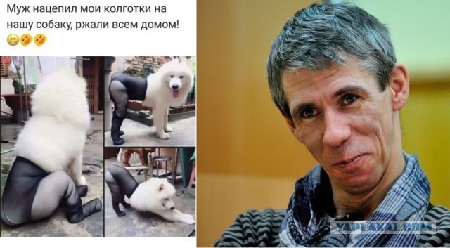 Немного картинок для настроения 05.12.19