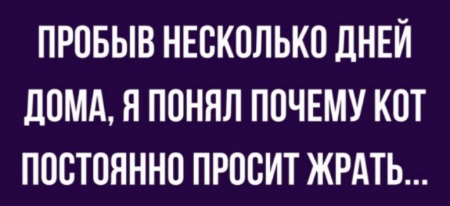Так себе картинки 8