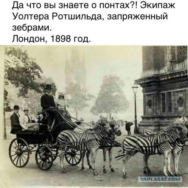 Французские понты или как открывают бутылку очень старого вина за 10 000 евро