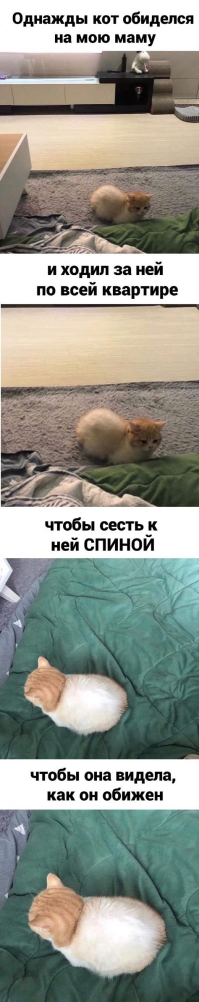 Юмор в картинках 11.11.2020 (2)
