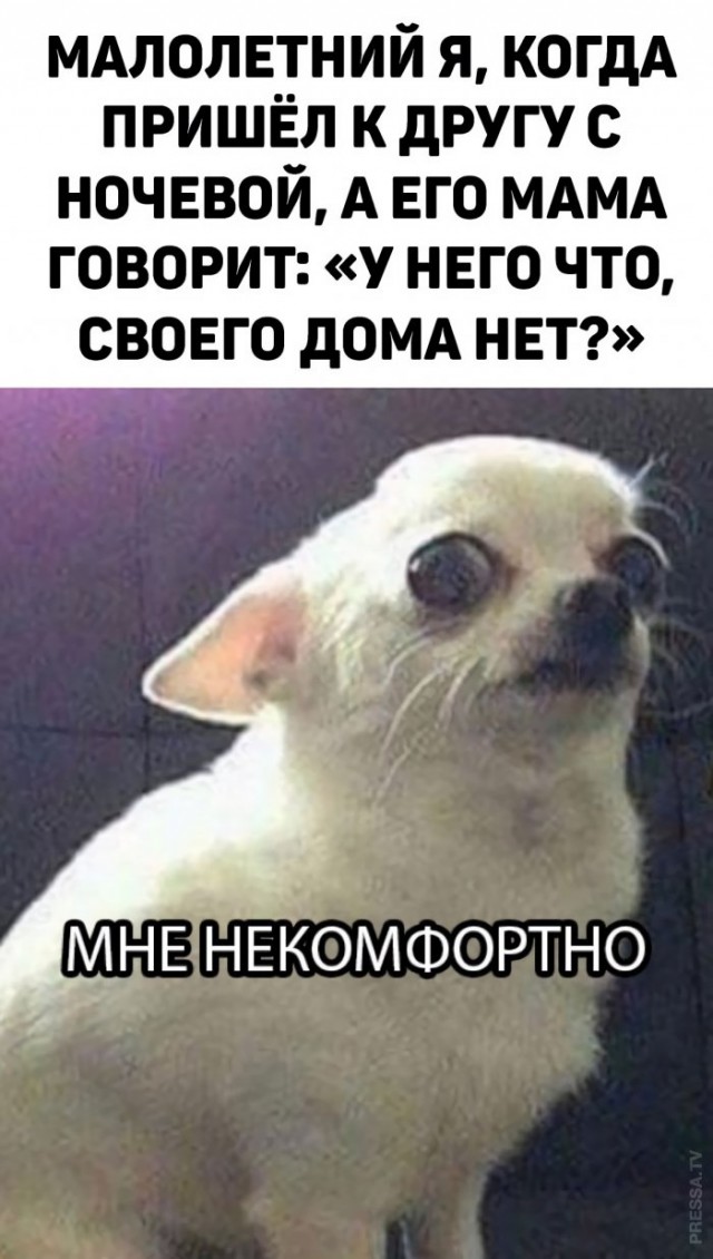 Немного картинок для настроения 17.11.20