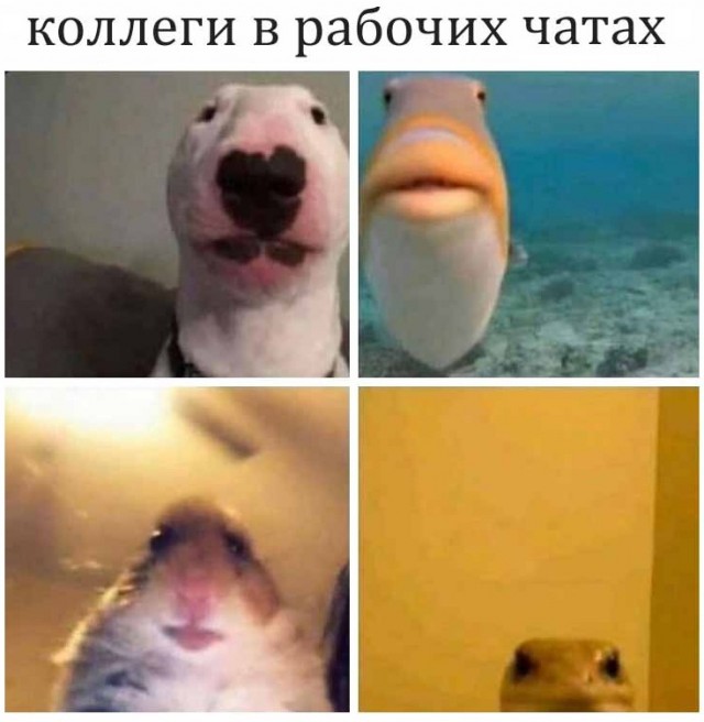 Картинки 11.02