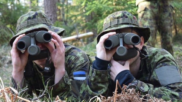 Эстонских военных обвинили в медлительности