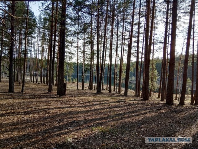 Американцы (окончательно) не были на Луне! Лоза подтвердил