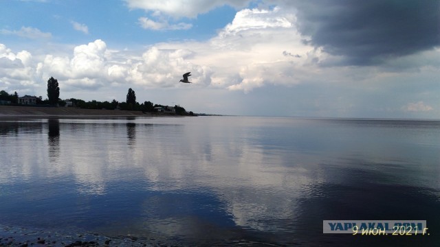 Живу в Волгограде