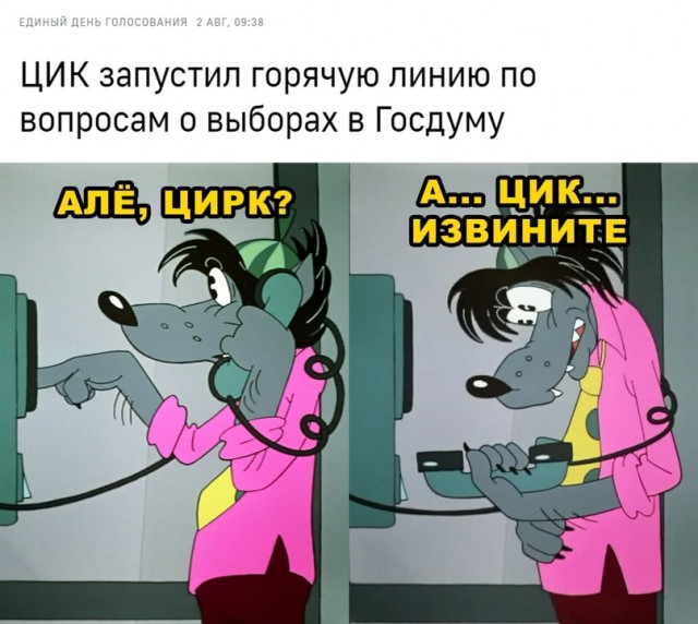 Весёлый полтишок 3.08.21